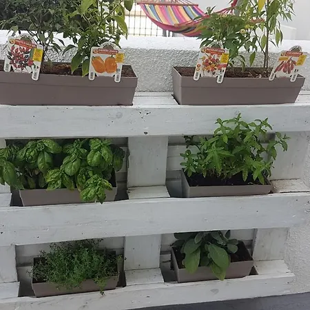 Orsa Minore شقة فندقية 3*