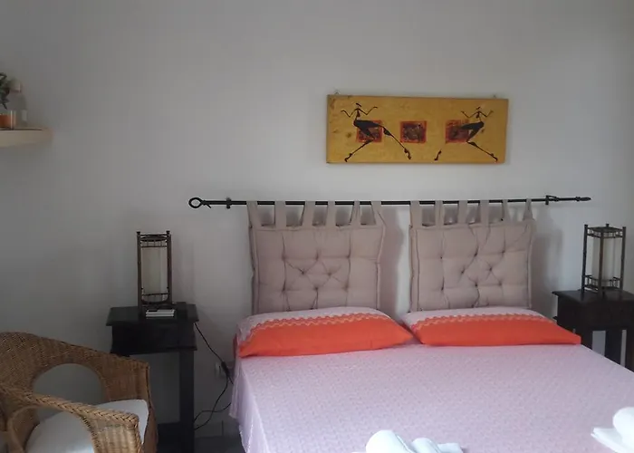 Orsa Minore Gallipoli